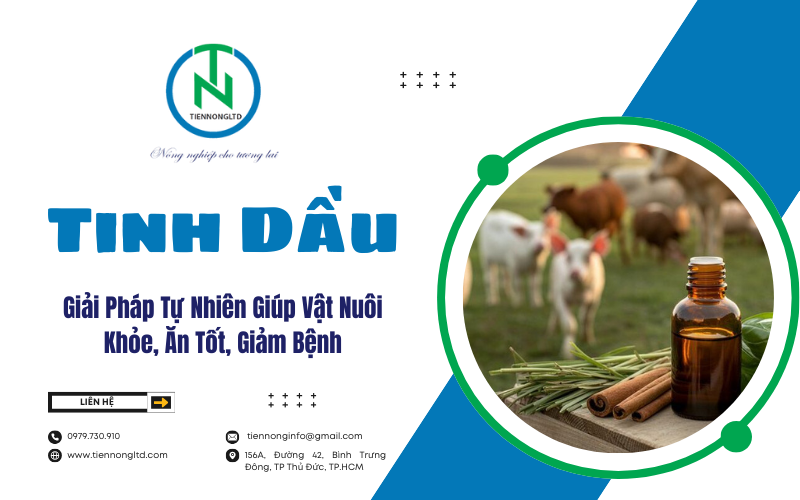 Giải Pháp Tự Nhiên Giúp Vật Nuôi Khỏe, Ăn Tốt, Giảm Bệnh
