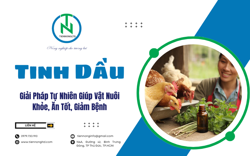 Giải Pháp Tự Nhiên Giúp Vật Nuôi Khỏe, Ăn Tốt, Giảm Bệnh