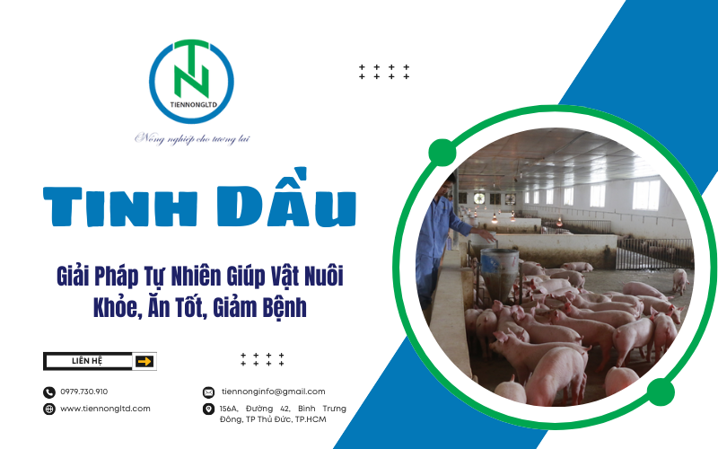 Giải Pháp Tự Nhiên Giúp Vật Nuôi Khỏe, Ăn Tốt, Giảm Bệnh