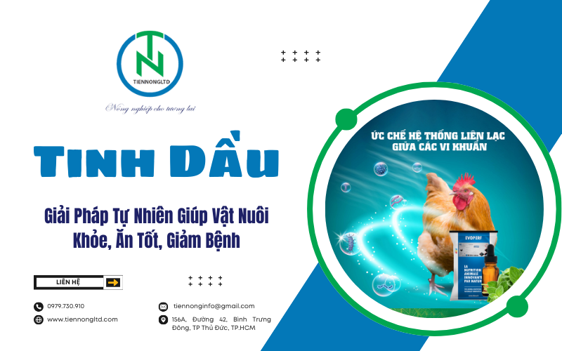 Giải Pháp Tự Nhiên Giúp Vật Nuôi Khỏe, Ăn Tốt, Giảm Bệnh